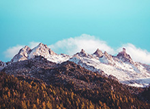 【直播】李九回复弹幕谁是KPL第一打野：钟意，我不怕被剪辑，毋庸置疑